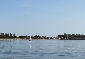 Ostseemuschel