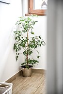 Apartamenty Dwupoziomowe Dwa Widoki Jacuzzi & Sauna