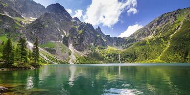 Apartamenty Domki Giewont