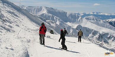 Apartamenty Domki Giewont
