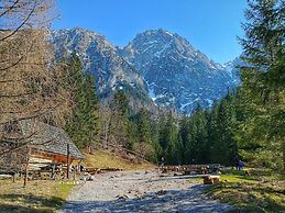 Apartamenty Domki Giewont
