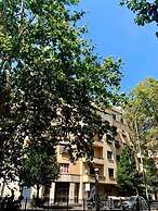 4VaticanRooms