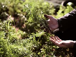 Lesante Cape Resort & Villas, a member of The Leading Hotels of the Wo