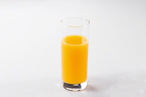 Comfort Hotel Nagoya Meiekiminami