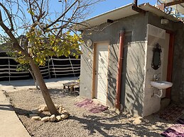 Amazing Bedouin Hospitality