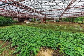 Bentong Eco Wellness Resort