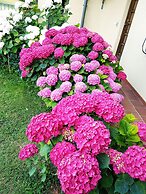 Villa Bellavista Alba