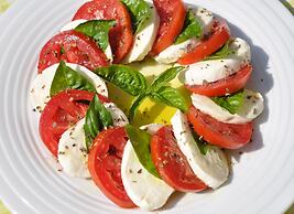 Villa Bellavista Alba