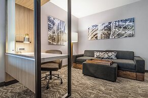 SpringHill Suites by Marriott Charleston Airport & Convention Center