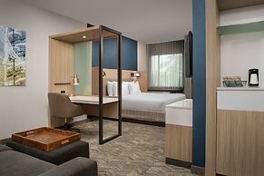 SpringHill Suites by Marriott Charleston Airport & Convention Center
