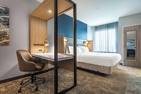 SpringHill Suites by Marriott Charleston Airport & Convention Center