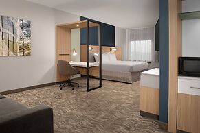 SpringHill Suites by Marriott Charleston Airport & Convention Center