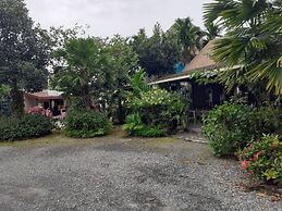 Areeca Mahogany Zone