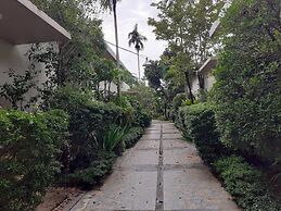 Areeca Mahogany Zone