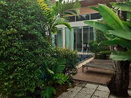 Areeca Mahogany Zone