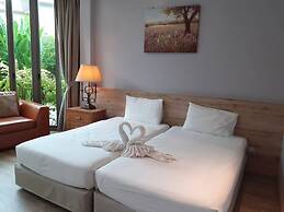 Areeca Mahogany Zone