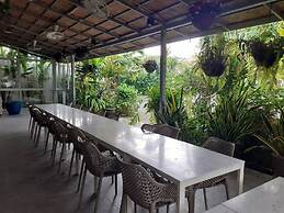 Areeca Mahogany Zone