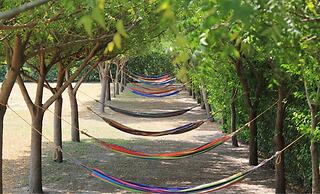 Hotel Shalom - Hostel