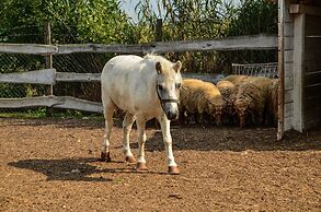 Antal-tavi Fogadó és Horgászparadicsom