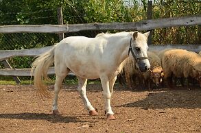 Antal-tavi Fogadó és Horgászparadicsom
