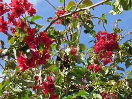 Room-ñau Father for 3 People