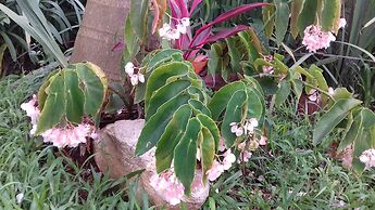 Room-ñau Father for 3 People