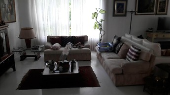 Cozy Suite With Nice Bath