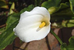 Holiday Home With Private Pool Near Andalusian Village Comares, Malaga