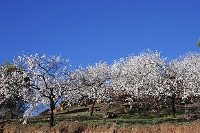 Holiday Home With Private Pool Near Andalusian Village Comares, Malaga