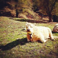 Casa Hürlimann Erholung Im Malcantone