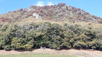 Casa Hürlimann Erholung Im Malcantone