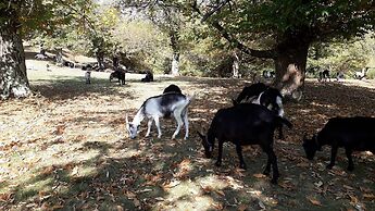 Casa Hürlimann Erholung Im Malcantone