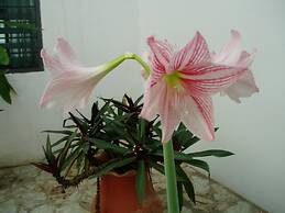 Nimohs' Holiday Home Mccarthy Hill Accra-ghana With Acs