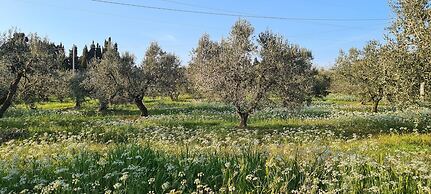 Tuscan Villa, Private Pool and Tennis Court Garden,wi-fi, Ac, Pet Frie