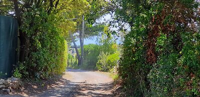 Tuscan Villa, Private Pool and Tennis Court Garden,wi-fi, Ac, Pet Frie