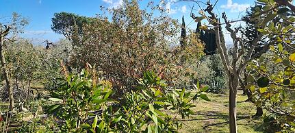 Tuscan Villa, Private Pool and Tennis Court Garden,wi-fi, Ac, Pet Frie