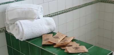 Tuscan Villa, Private Pool and Tennis Court Garden,wi-fi, Ac, Pet Frie