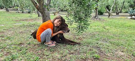 Tuscan Villa, Private Pool and Tennis Court Garden,wi-fi, Ac, Pet Frie