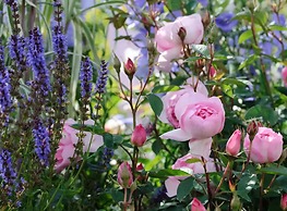 Beautiful 1 bed Cottage Retreat in Countryside