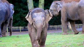 Beautiful 1 bed Cottage Retreat in Countryside