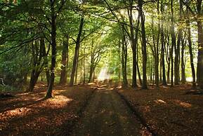 Beautiful 1 bed Cottage Retreat in Countryside