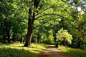 Beautiful 1 bed Cottage Retreat in Countryside