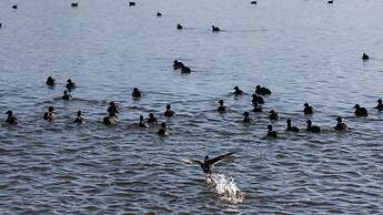 Hotel Indigo Diqing Moonlight City by IHG