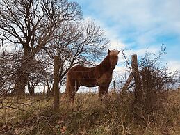 3 Bedroom Country Retreat - Dogs Welcome