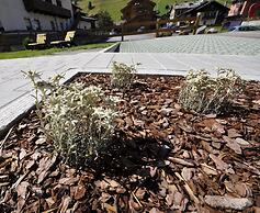 Appartamenti Raggio di Sole