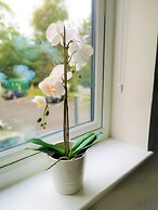 New Apartment
