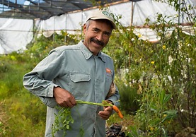 Casa Estrella Valenciana Hotel Boutique
