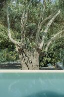 Ouzo Traditional House with private pool