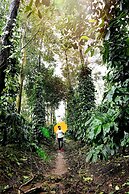 Unlock By Goldfinch Sakaleshpur