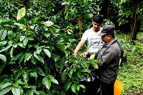 Unlock By Goldfinch Sakaleshpur